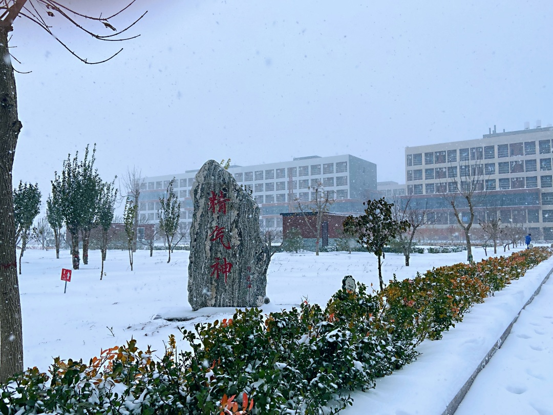 中恒 | 初雪——唐山市曹妃甸区中恒高级中学第一场雪纪实