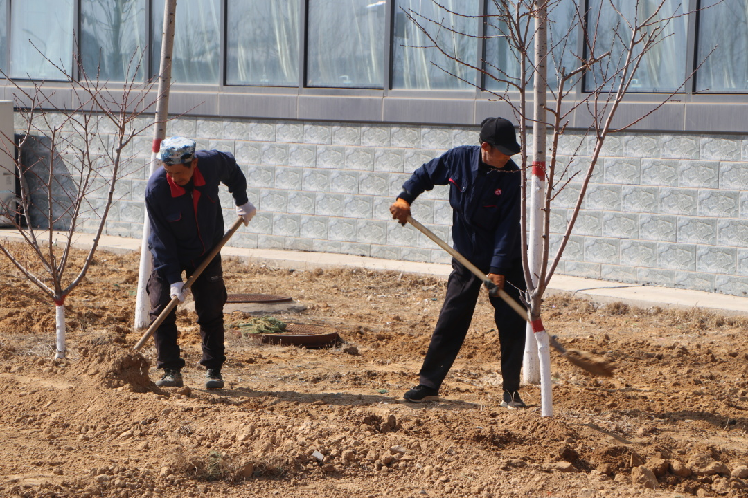 大力推进校园绿化  全民共建美丽家园——中恒高级中学校园绿化（一）