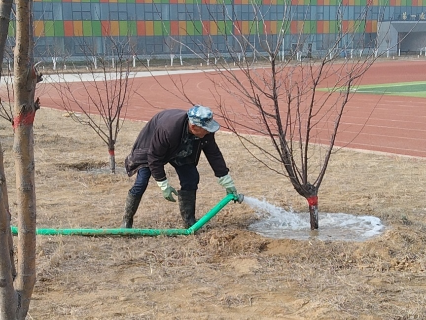 大力推进校园绿化  全民共建美丽家园——中恒高级中学校园绿化（一）